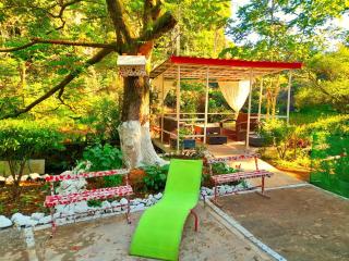 Green House - 9