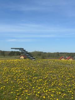 Briedžio sapnas - tipis vėjas - 5