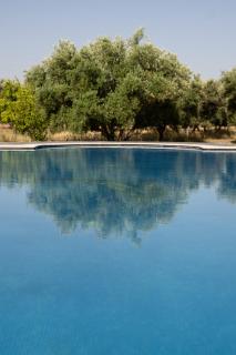 Villa privée, 5 suites, Piscine & Jardin XXL - 7