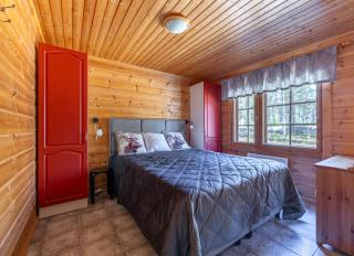 Alpine Retreat with Sauna Near Ski Lifts - 8
