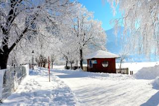 Appartements Prielau by we rent - 9