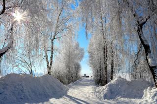 Appartements Prielau by we rent - 7