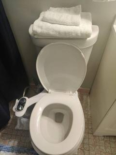 Massive 4BD/3BA 2-Fl Townhouse Apt Downtown Albany - 3