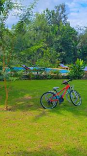 Daima Escape - 2