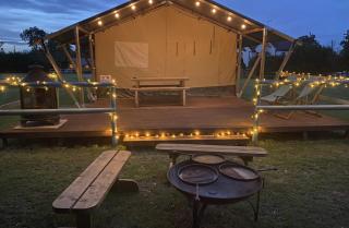 The Firs Glamping - 6