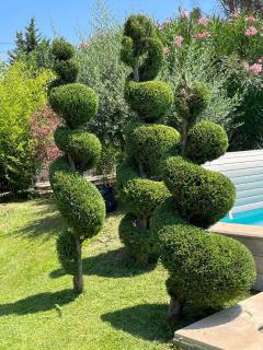 A peaceful haven in Provence luxury and comfort - 5