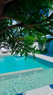 INTERNI LUXURY LIVING - 7