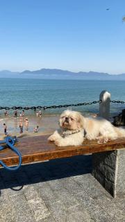 Apto Impecável 2 quartos - VISTA Maravilhosa para o Mar - PÉ NA AREIA- ACEITA PET - APTO PREMIUM home office Wifi alta velocidade - 4