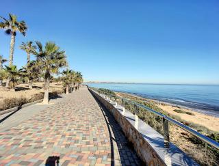 Playa Elisa - Mil Palmeras, Costa Blanca 400m zum Strand - 2