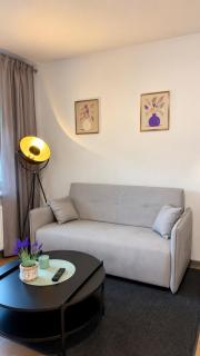 Apartamenty Borowska 268 z balkonem i parkingiem - 6