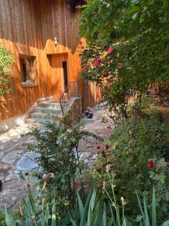 Bio Appartement Pichler - Schladming - 4