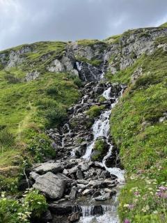 An der Reuss Gurtnellen nahe Andermatt - 1