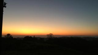Martucan - 4