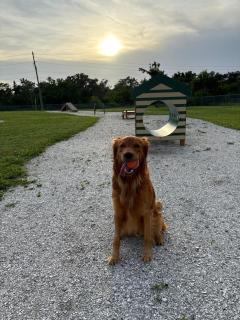 Heated Pool in Sunny Sarasota, huge yard, games, dog friendly escape - 1