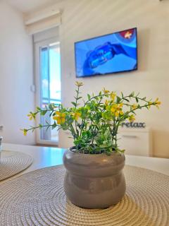 Apartman Relax Green Hill - 5