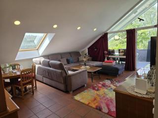 'Tor zum Schwarzwald' Ferienwohnungen mit Sauna - 1