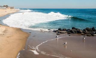 The 1889 Beach Charmer on Heck xxx Historic 6BR Home with Sunroom xxx 1 Block to Sand xxx 8 Badges Included xxx Walk to Asbury Park Nightlife xxx Dog Friendly - 6