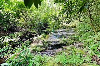 Trailside Falls - 5