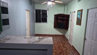 Los almemdros del arenal - 0