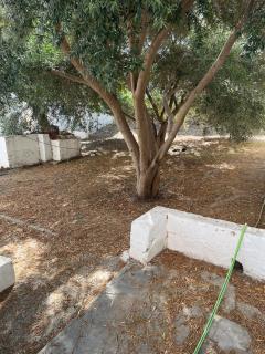 Villa with garden - 7