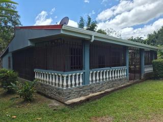 Los almemdros del arenal - 3