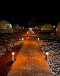 elan luxury camp - 4