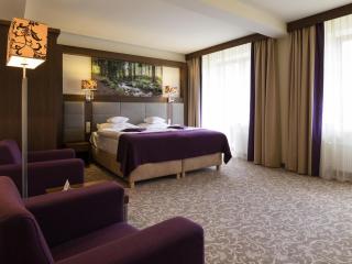 Hotel Mercure Krynica Zdrój Resort&Spa - 1