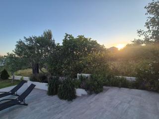 Olive Lounge House - 2