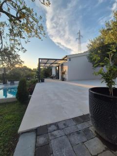 Olive Lounge House - 4