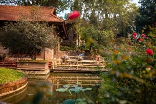 Thảo Viên Resort - 9