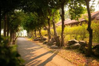 Thảo Viên Resort - 1