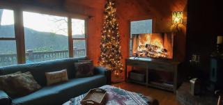 The Treehouse - 3