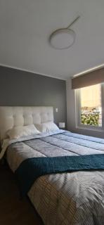 Quiet apartment in downtown Santiago - 7