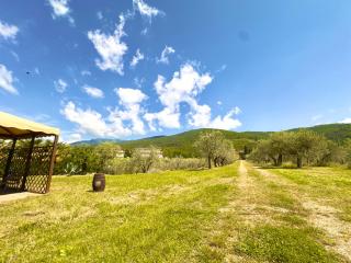 Casa Levante Toscana tra vino e ulivi - 3