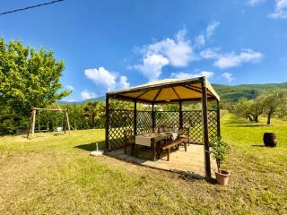 Casa Levante Toscana tra vino e ulivi - 2