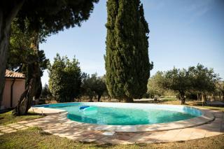 Villa With Pond Among Olive Trees Near Trapani - 8