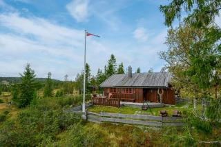 Cottage With Sauna Near Ski Trails In Sjusjøen - 0