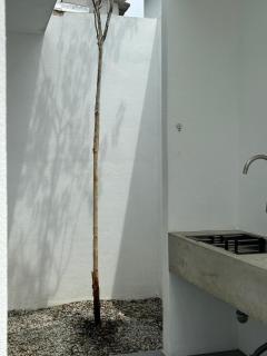EDEN Homes - 1
