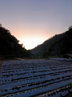 暖暖窩 歐風漫旅房 - 6
