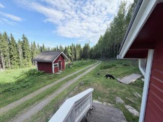 Metsäpirtti - 7