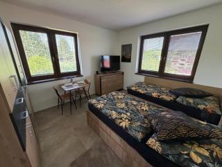Apartmán Višňové - 9
