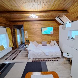 Pensiunea Mateo Cozy Bran Castel și Bucegi View - 5