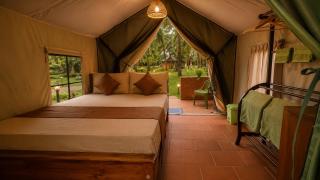 COCO FOREST CAMPING - Luxury Glamping & Villa - ONLY FOR FOREIGN BOOKINGS - 6