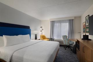 Hampton Inn Washington-Dulles International Airport South - 8