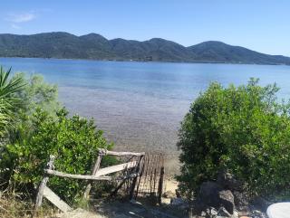 Greeksummer - 2