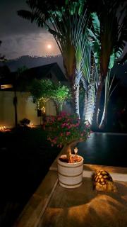 Villa Internationale 3BR Tropical Escape - 7