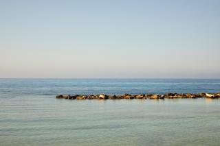 Mare Ayia Napa - 1