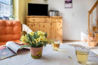 Ferienwohnungen zur Eule - Steinkauz - 5