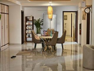 Luxe 1BHK flat in 6BHK Penthouse - 4