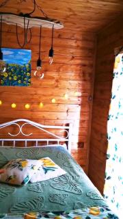 Kazbegi Mountain Cottage MTA-Shi - 5